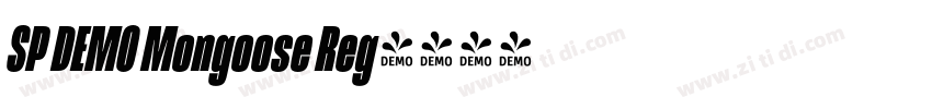 SP DEMO Mongoose Reg字体转换